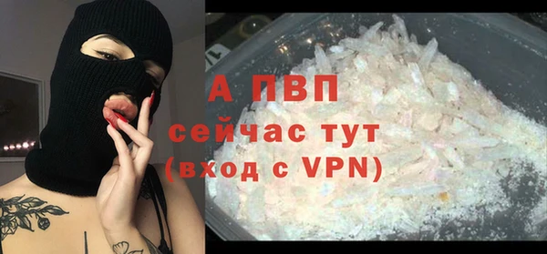 скорость Новозыбков