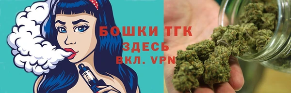 прущий лед Богородицк