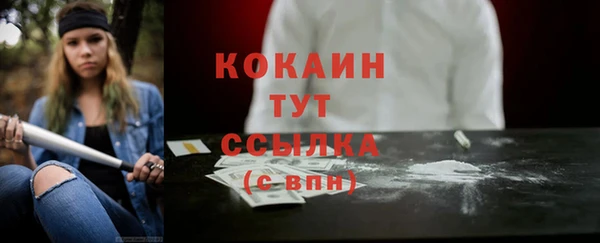 скорость Новозыбков