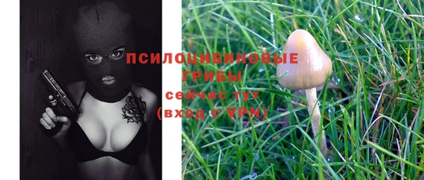 кокаин колумбия Богданович