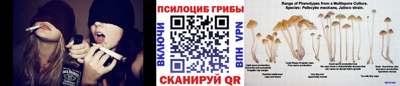 продажа наркотиков darknet состав Галлюциногенные грибы мицелий Берёзовка